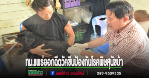 เริ่มแล้วทม.แพร่ รณรงค์ฉีดวัคซีนป้องกันโรคพิษสุนัขบ้า ตามโครงการ “สัตว์ปลอดโรค คนปลอดภัย จากโรคพิษสุนัขบ้า”