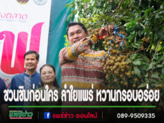 เกษตร จ.แพร่ จัดกิจกรรมเวทีเชื่อมโยงตลาดลำไยคุณภาพ สร้างโอกาสในธุรกิจ เสริมสร้างภาพลักษณ์สินค้าเกษตรคุณภาพ