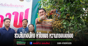 เกษตร จ.แพร่ จัดกิจกรรมเวทีเชื่อมโยงตลาดลำไยคุณภาพ สร้างโอกาสในธุรกิจ เสริมสร้างภาพลักษณ์สินค้าเกษตรคุณภาพ