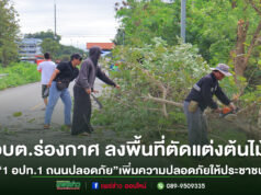 “1 อปท. 1 ถนนปลอดภัย” ปีงบประมาณ 2569 อบต.ร่องกาศ ลงพื้นที่ตัดแต่งต้นไม้ เพิ่มความปลอดภัยให้ประชาชน