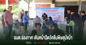 อบต.ร่องกาศ เดินหน้าโครงการสัตว์ปลอดโรค คนปลอดภัยจากโรคพิษสุนัขบ้า ระดมฉีดวัคซีนครอบคลุมพื้นที่ 18–25 มี.ค. 69