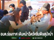 อบต.ร่องกาศ เดินหน้าฉีดวัคซีนพิษสุนัขบ้า คุมเข้มสัตว์ปลอดโรค สร้างความปลอดภัยให้ประชาชน