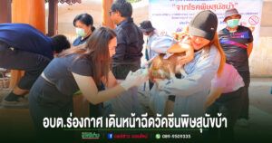อบต.ร่องกาศ เดินหน้าฉีดวัคซีนพิษสุนัขบ้า คุมเข้มสัตว์ปลอดโรค สร้างความปลอดภัยให้ประชาชน
