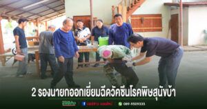 กองสาธารณสุขและสิ่งแวดล้อม อบต.เวียงทอง ดำเนินการฉีดวัคซีนป้องกันโรคพิษสุนัขบ้า ประจำปี 2569