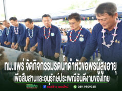 ทม.แพร่ จัดกิจกรรมรดน้ำดำหัวขอพรผู้สูงอายุ เพื่อสืบสานและอนุรักษ์ประเพณีอันดีงามของไทย