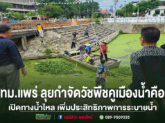 ทม.แพร่ ลุยกำจัดวัชพืชคูเมืองน้ำคือ เปิดทางน้ำไหล เพิ่มประสิทธิภาพการระบายน้ำ