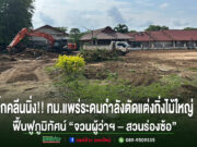 บิ๊กคลีนนิ่ง!!ทม.แพร่ระดมกำลังตัดแต่งกิ่งไม้ใหญ่เพิ่มความปลอดภัย ฟื้นฟูภูมิทัศน์ “จวนผู้ว่าฯ – สวนร่องซ้อ”