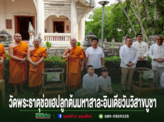 พุทธศาสนิกชนร่วมกิจกรรมวันวิสาขบูชาที่วัดพระธาตุช่อแฮ พระอารามหลวง