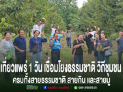 (มีคลิป)เที่ยวเมืองแพร่ 1 วัน ครบทั้งสายธรรมชาติ สายกิน และสายมู กลุ่มคนยืนโพสท่าถ่ายรูปอย่างมีความสุขในสวนทุเรียนสีเขียวขจี บางคนถือผลทุเรียน