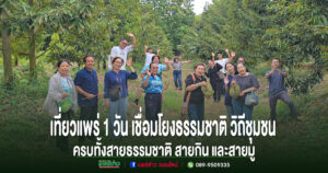 (มีคลิป)เที่ยวเมืองแพร่ 1 วัน ครบทั้งสายธรรมชาติ สายกิน และสายมู