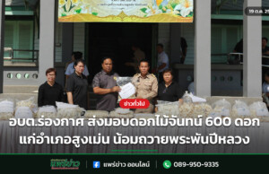อบต.ร่องกาศ ส่งมอบดอกไม้จันทน์ 600 ดอก แก่อำเภอสูงเม่น น้อมถวายพระพันปีหลวง อบต.ร่องกาศ ส่งมอบดอกไม้จันทน์ 600 ดอก แก่อำเภอสูงเม่น น้อมถวายพระพันปีหลวง