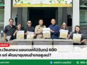 อบต.เวียงทอง มอบดอกไม้จันทน์ 600 ดอก แก่ พัฒนาชุมชนอำเภอสูงเม่?