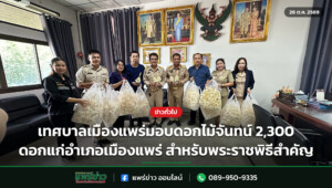 เทศบาลเมืองแพร่มอบดอกไม้จันทน์ 2,300 ดอกแก่อำเภอเมืองแพร่ สำหรับพระราชพิธีสำคัญ