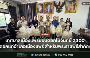 เทศบาลเมืองแพร่มอบดอกไม้จันทน์ 2,300 ดอกแก่อำเภอเมืองแพร่ สำหรับพระราชพิธีสำคัญ เทศบาลเมืองแพร่มอบดอกไม้จันทน์ 2,300 ดอกแก่อำเภอเมืองแพร่ สำหรับพระราชพิธีสำคัญ