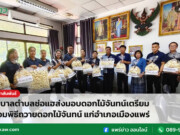 เทศบาลตำบลช่อแฮส่งมอบดอกไม้จันทน์เตรียมพร้อมพิธีถวายดอกไม้จันทน์ แก่อำเภอเมืองแพร่ เทศบาลตำบลช่อแฮส่งมอบดอกไม้จันทน์เตรียมพร้อมพิธีถวายดอกไม้จันทน์ แก่อำเภอเมืองแพร่