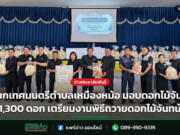 นายกเทศมนตรีตำบลเหมืองหม้อ มอบดอกไม้จันทน์ 1,300 ดอก เตรียมงานพิธีถวายดอกไม้จันทน์ นายกเทศมนตรีตำบลเหมืองหม้อ มอบดอกไม้จันทน์ 1,300 ดอก เตรียมงานพิธีถวายดอกไม้จันทน์